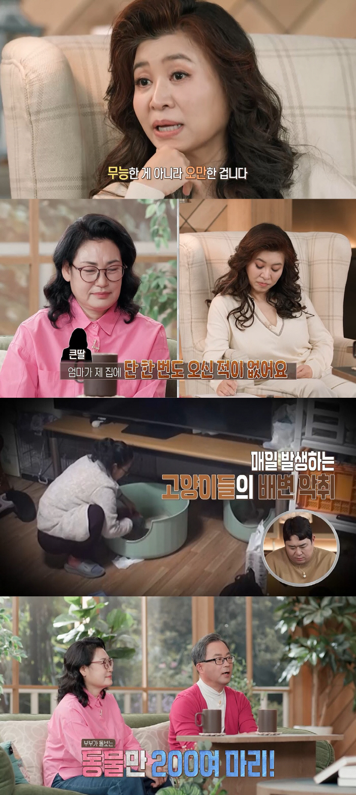 동물 200마리 키우느라 10억 쓰고 친언니 파산…오은영 "정신차려" 일침