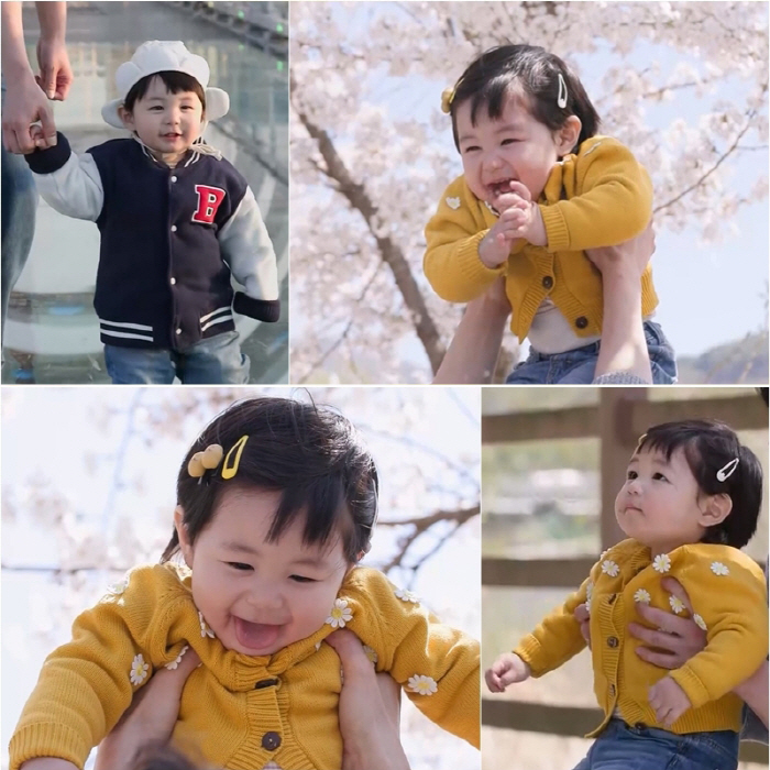 심형탁 子 하루, 벚꽃 사이 누가 꽃인지 모를 비주얼...눈웃음에 '심쿵'('슈돌')
