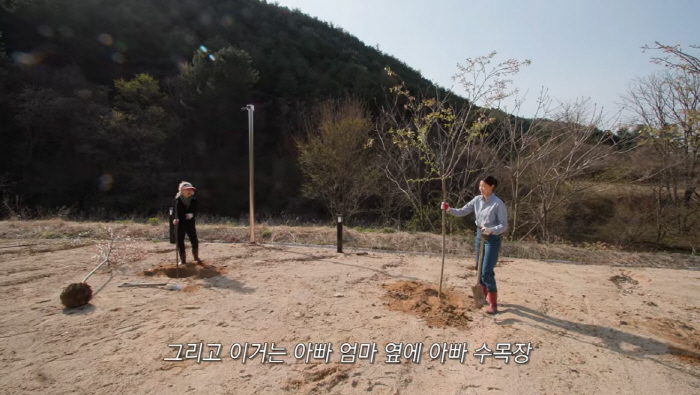 한혜진, 삽질하다 돌연 '수목장' 언급…母 뒷목 잡게 한 '불효 농담'