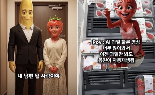 [인스타그램 앱 캡처. 재판매 및 DB 금지]