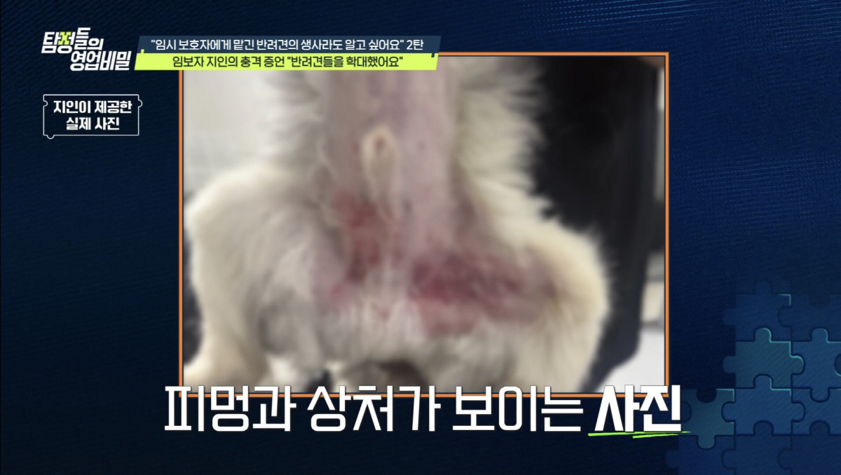 '하하♥' 별, 병수발 후 뼈말라 된 근황.."일찍 일어나 가장 늦게 잠들어" ('탐비')