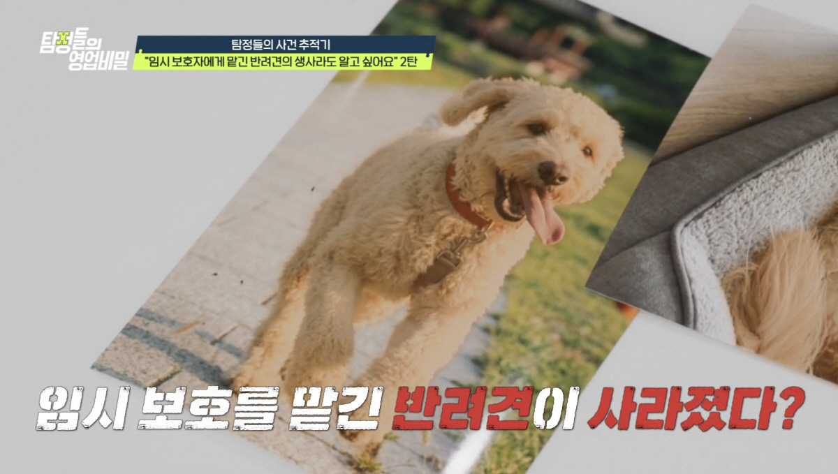 '하하♥' 별, 병수발 후 뼈말라 된 근황.."일찍 일어나 가장 늦게 잠들어" ('탐비')