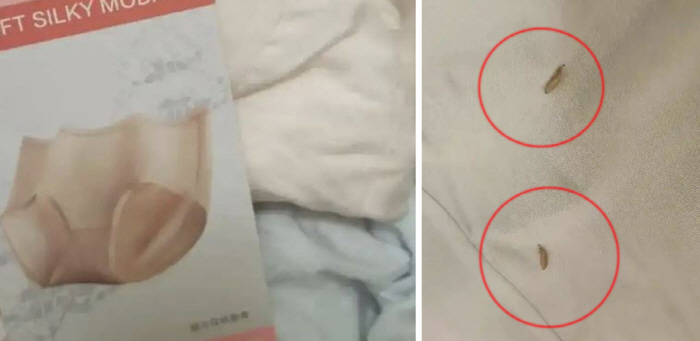 "대형마트서 구입한 여성 속옷에서 벌레·알 나와" 분통
