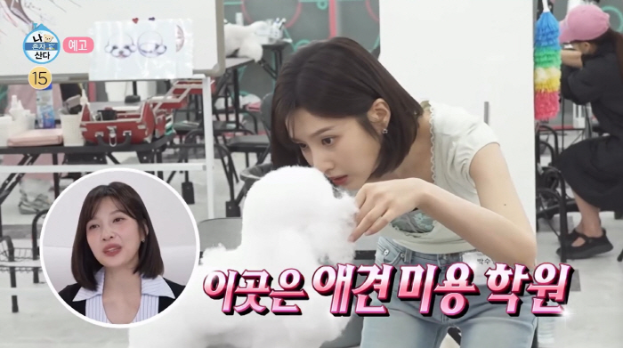 조이, 돌연 제2의 인생 준비...'애견 미용사' 자격증 도전 "이 직업 못하면 기술 있어야"