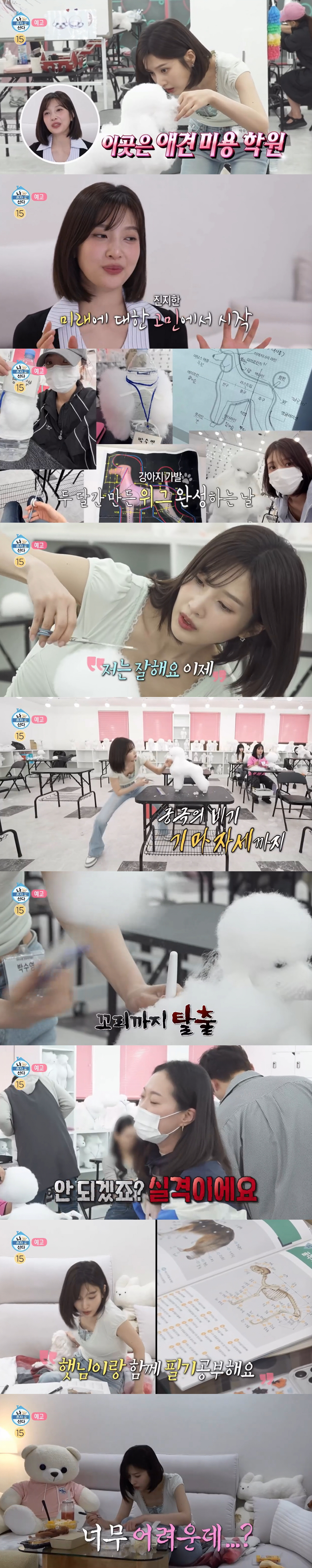 조이, 돌연 제2의 인생 준비...'애견 미용사' 자격증 도전 "이 직업 못하면 기술 있어야"