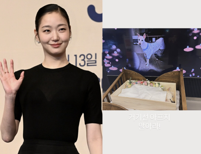 김고은, 불치병 유기견 입양 4년 만에…끝내 이별 "사랑해 월아"