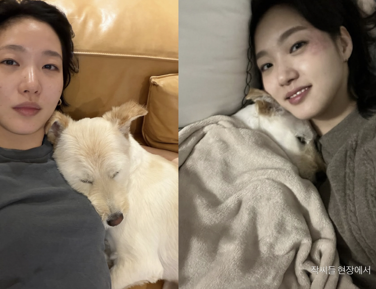 김고은, 불치병 유기견 입양 4년 만에…끝내 이별 "사랑해 월아"