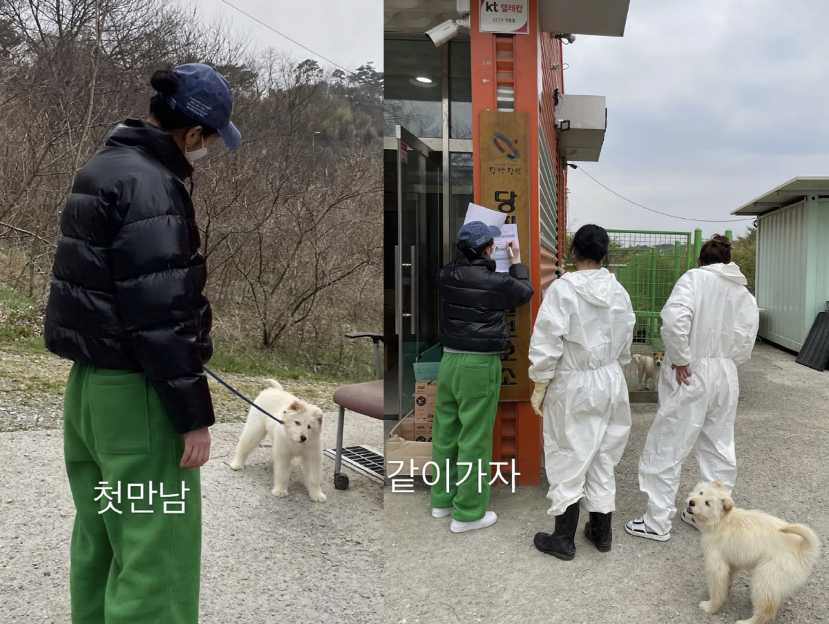 김고은, 불치병 유기견 입양 4년 만에…끝내 이별 "사랑해 월아"