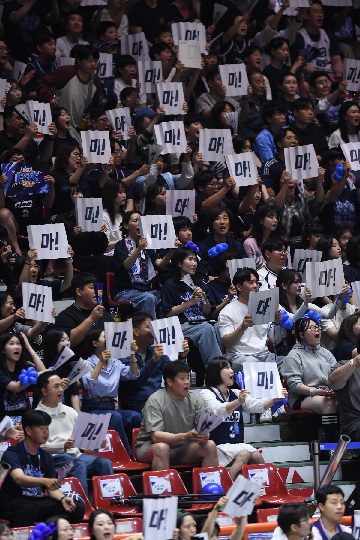 역대 최초 5-6위 챔프전, 흥행에도 이미 역사가 됐다…역대 챔프전 평균 관중 1위+뷰잉파티 반응도 폭발적