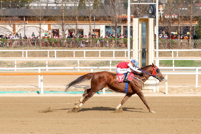 [경마] '빈체로카발로' 2년 연속 스프린터 시리즈 삼관마를 향해… 제34회 서울마주협회장배 17일 개최