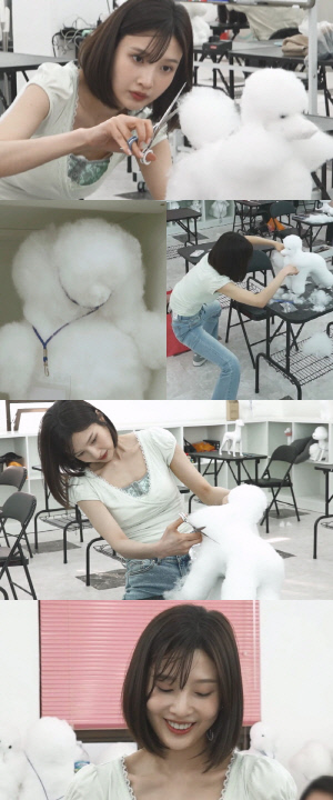 '30살' 조이, 벌써부터 은퇴 걱정.."연예인 못하게 될까봐" 애견 미용사 도전(나혼산)