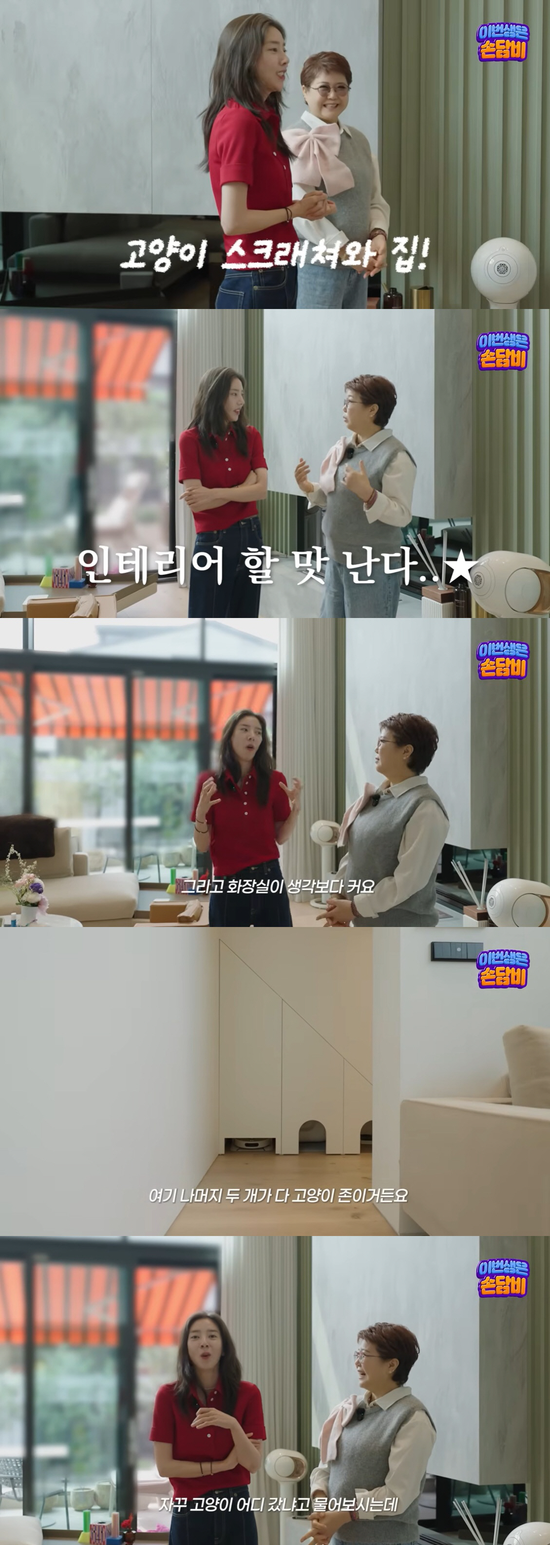 손담비, 반려묘 파양 의혹…럭셔리 집으로 해명 "설마 고양이를 버렸겠냐"