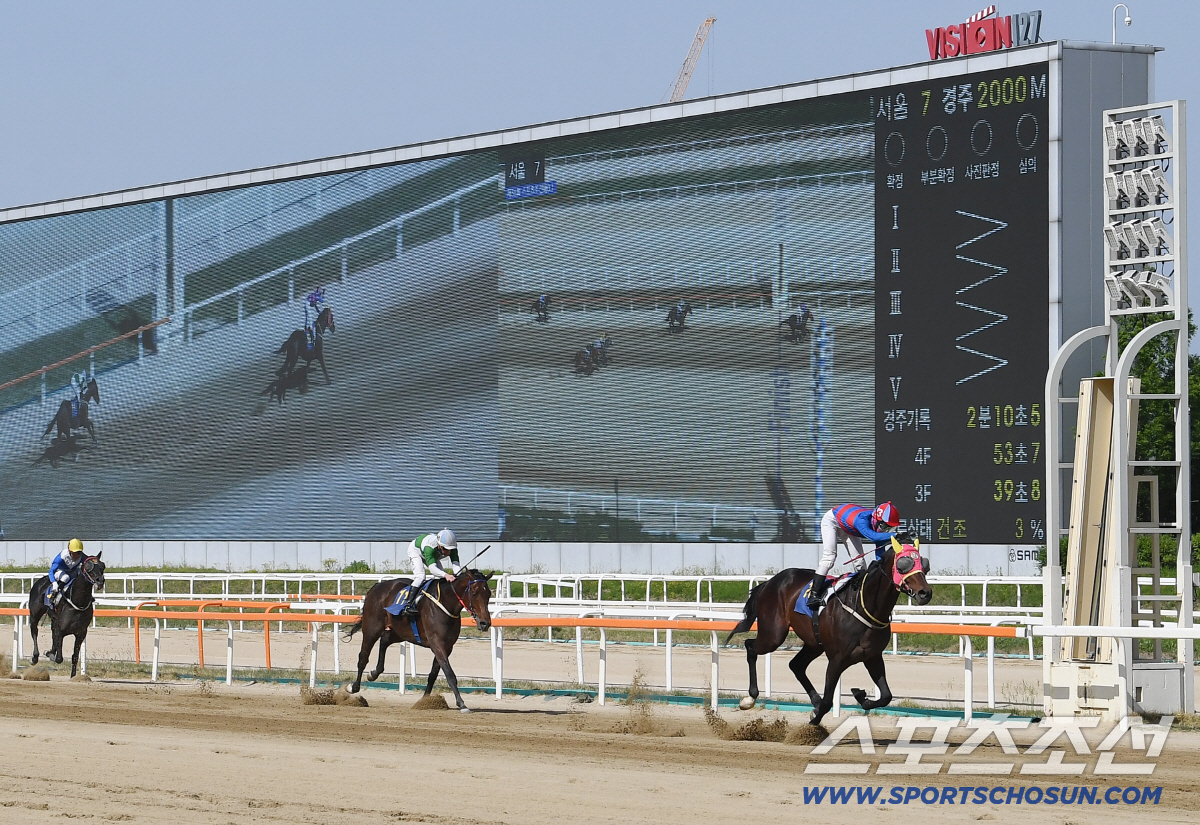 17일 오후 과천 렛츠런파크 서울에서 열린 '제36회 스포츠조선배(L) 대상경주'에서 머스킷데이가 우승을 차지했다. 머스킷데이가 1위로 골인하고 있다. 과천=정재근 기자 cjg@sportschosun.com/2026.5.17