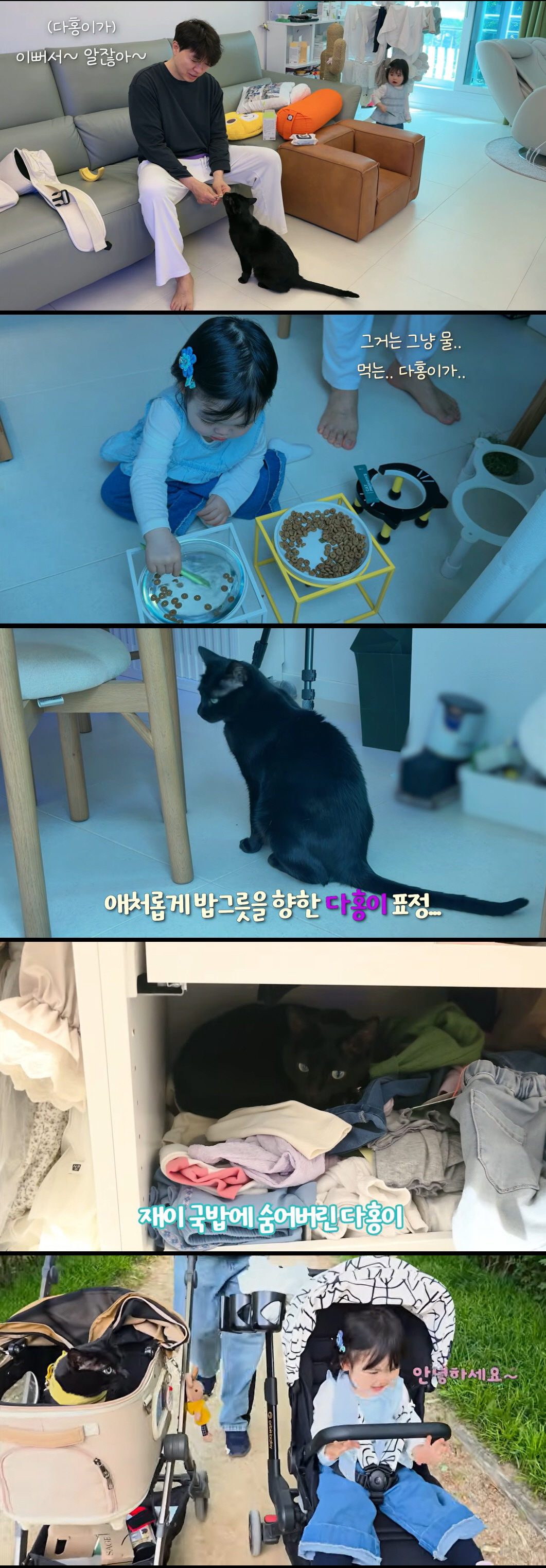 생명의 은인이라더니…박수홍, 다홍이 방치 의혹 충격 "딸 좀 교육시켜라"