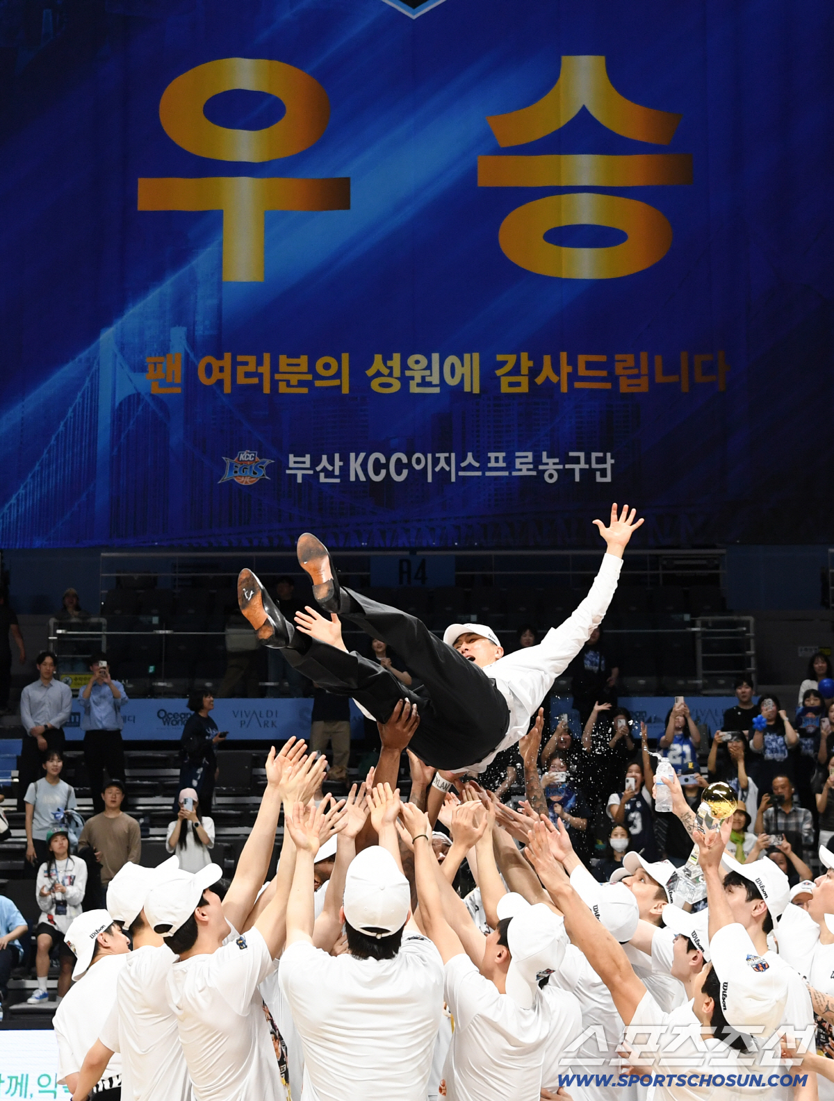 13일 고양 소노아레나에서 열린 프로농구 챔피언결정전 고양 소노와 부산 KCC의 경기. 우승을 차지한 KCC 선수들이 이상민 감독을 헹가래를 치고 있다. 고양=박재만 기자 pjm@sportschosun.com/2026.05.13/