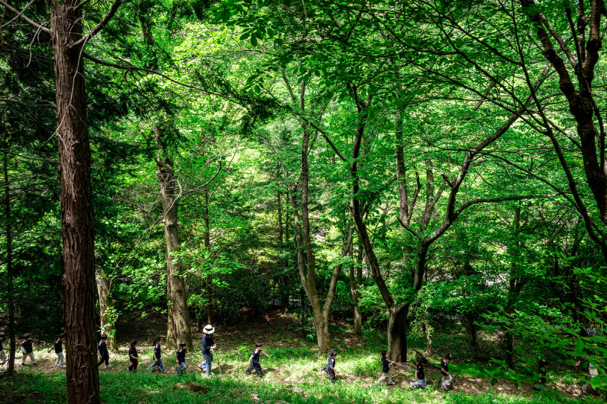 ◇대아수목원은 숲 해설과 체험 등 산림교육 프로그램울 운영하고 있어 자연학습의 장으로 활용된다. 사진제공=지엔씨21