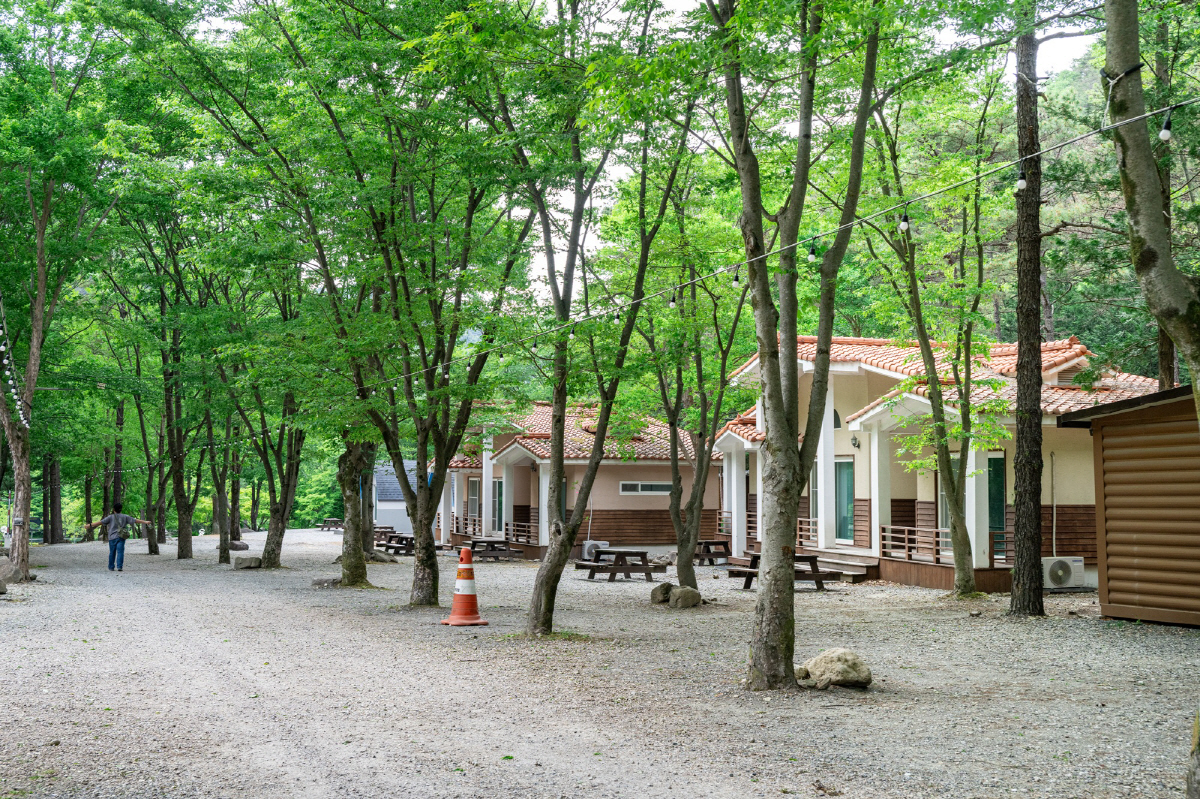 ◇고산자연휴양림은 산림을 활용한 가족형 여행지다. 다양한 편의시설은 남녀노소 모두의 편안한 휴식을 지원하고, 재미를 전달하는 역할을 한다. 사진제공=지엔씨21