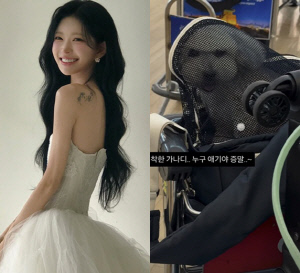 '故최진실 딸' 최준희, LA 신혼여행도 남다른 스케일 "캐리어 6개 반려견까지"