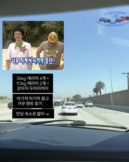 '故최진실 딸' 최준희, LA 신혼여행도 남다른 스케일 "캐리어 6개+반려견까지"
