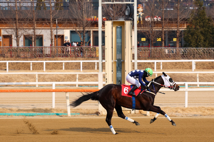 [경마] 2026 장거리 왕좌의 주인공은? 24일 부산광역시장배 대상경주 개최