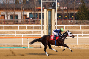 [경마] 2026 장거리 왕좌의 주인공은? 24일 부산광역시장배 대상경주 개최