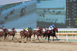 [경마] '본다이아', 이변의 주인공 됐다… 서울마주협회장배(G2) 제패하며 첫 대상경주 우승
