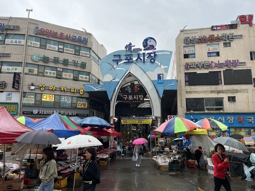 [촬영 노선웅]