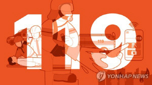 고라니 향해 쏜 총탄 파편에 70대 여성 부상