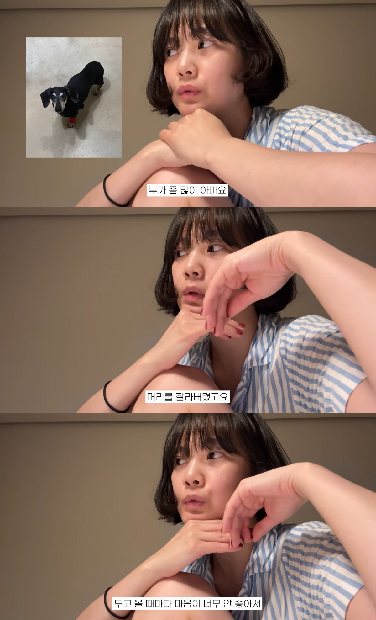윤승아, 길었던 머리 싹둑.."마음의 결정 해야, 반려견 투병 속상해"
