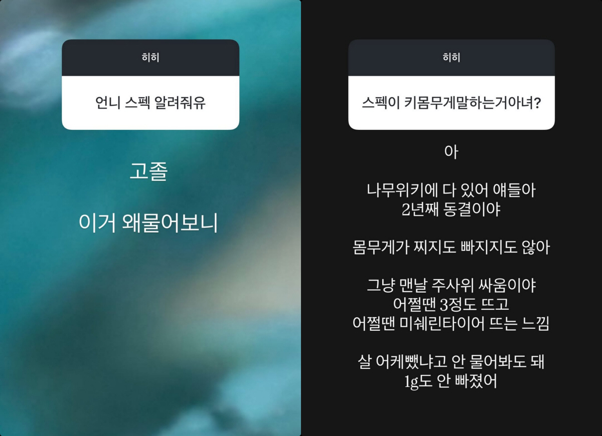 이영지, 13kg 뺐지만 요요로 원상복구 "1g도 안 빠져, 175cm에 63kg"