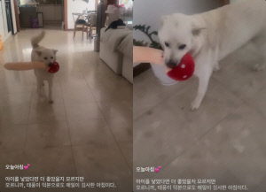 '2세 포기' 심진화, 뭉클 고백 "아이 낳으면 더 좋았겠지만, 반려견으로도 감사"