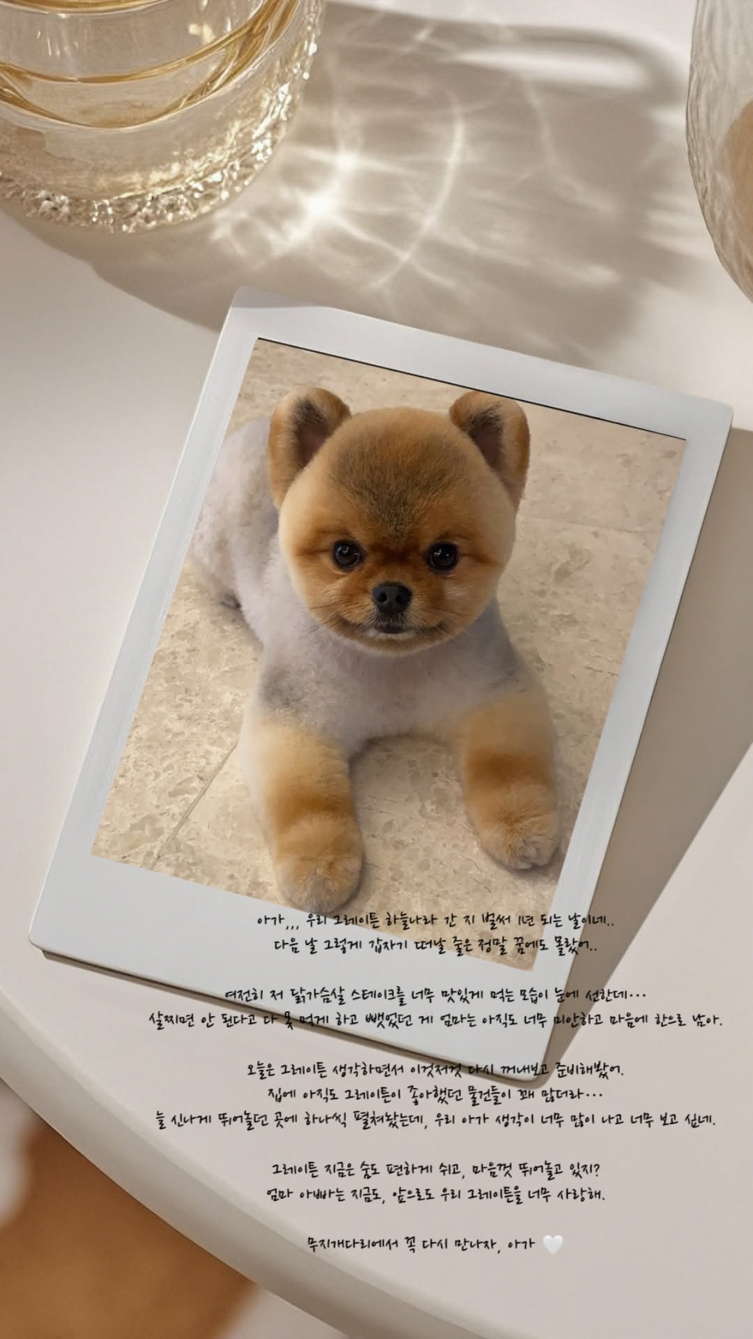 '임신' 이다해, 반려견 제사상 차리며 눈물 "떠난지 벌써 1년, 앞으로도 사랑해"