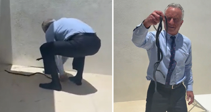 '장난삼아' 뱀 잡은 美 장관 논란…야생동물 사체 끔찍한 처리 '기행'도