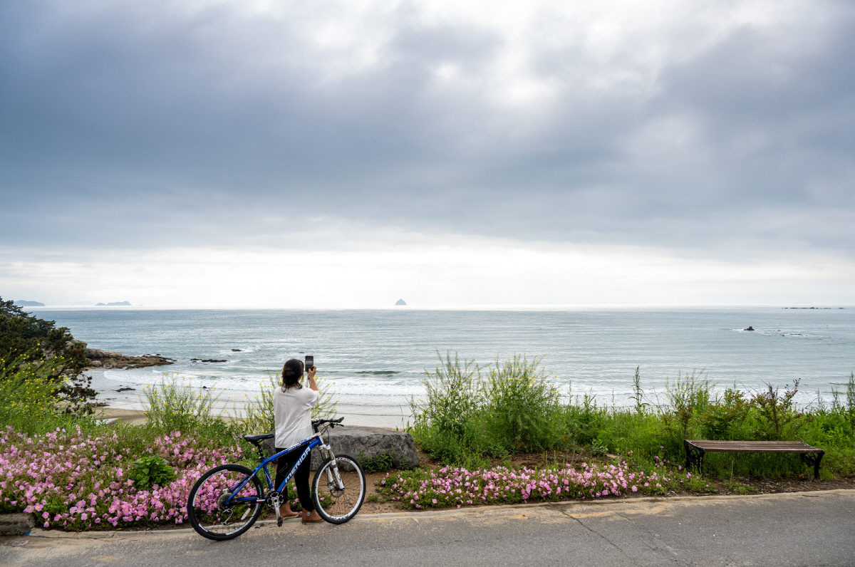 ◇삽시도의 주요 교통수단은 자전거다. 섬 워케이션 이용시 자건거를 대여할 수 있고, 섬 곳곳을 둘러볼 수 있다. 사진제공=지엔씨21