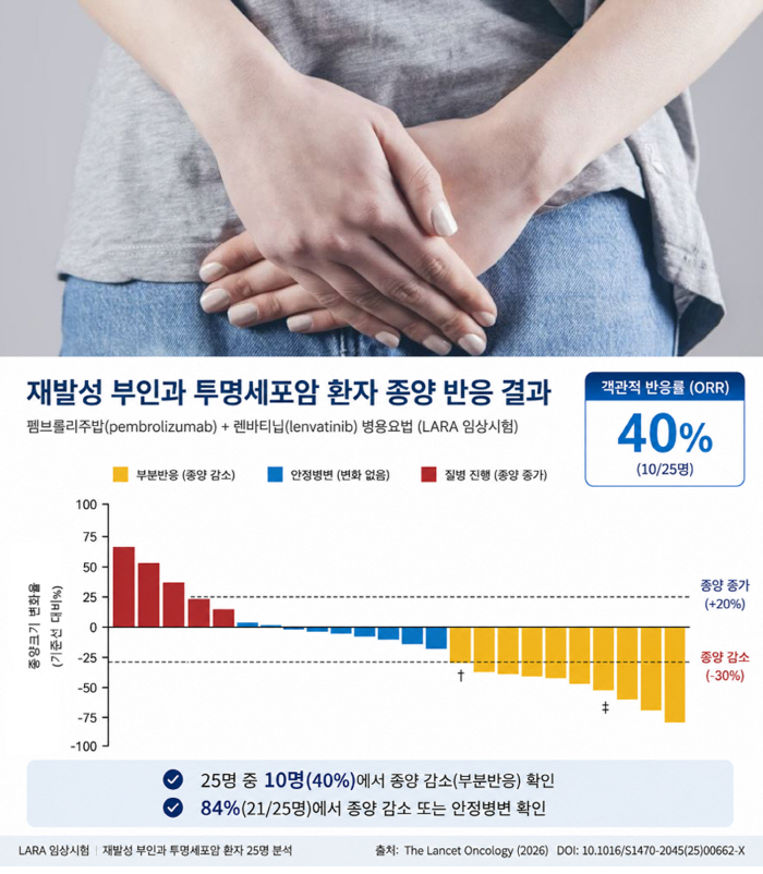 재발성 부인과 '투명세포암', 새로운 치료 가능성 찾았다
