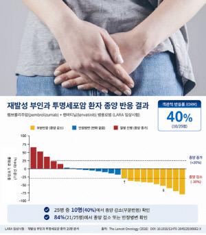 재발성 부인과 '투명세포암', 새로운 치료 가능성 찾았다