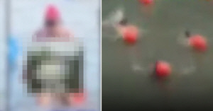 수영대회 여성 참가자 신체 노출 사진 실시간 업로드…주최 측 "죄송"