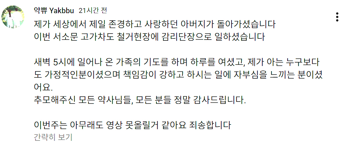 유튜버 '약뿌', 서소문 붕괴사고 희생자 유족이었다 "감리단장 父 세상 떠나, 책임강 강했던 분"