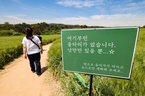 청보리밭 안내 표지판[사진/임헌정 기자]
