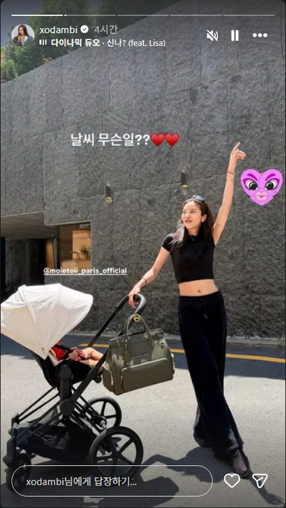 ‘이규혁♥’ 손담비, 딸맘 실화냐···크롭티 사이 드러난 '복근+팔 근육' 깜짝