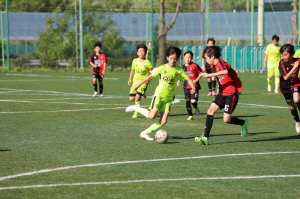 '2026 힐링 양구 사과컵 전국 유소년 축구클럽 페스티벌' 성황리 개막