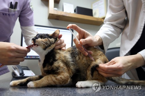 동물병원 마약류 처방 15% 급증…관리 사각지대 우려