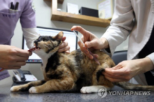 동물병원 마약류 처방 15% 급증…관리 사각지대 우려