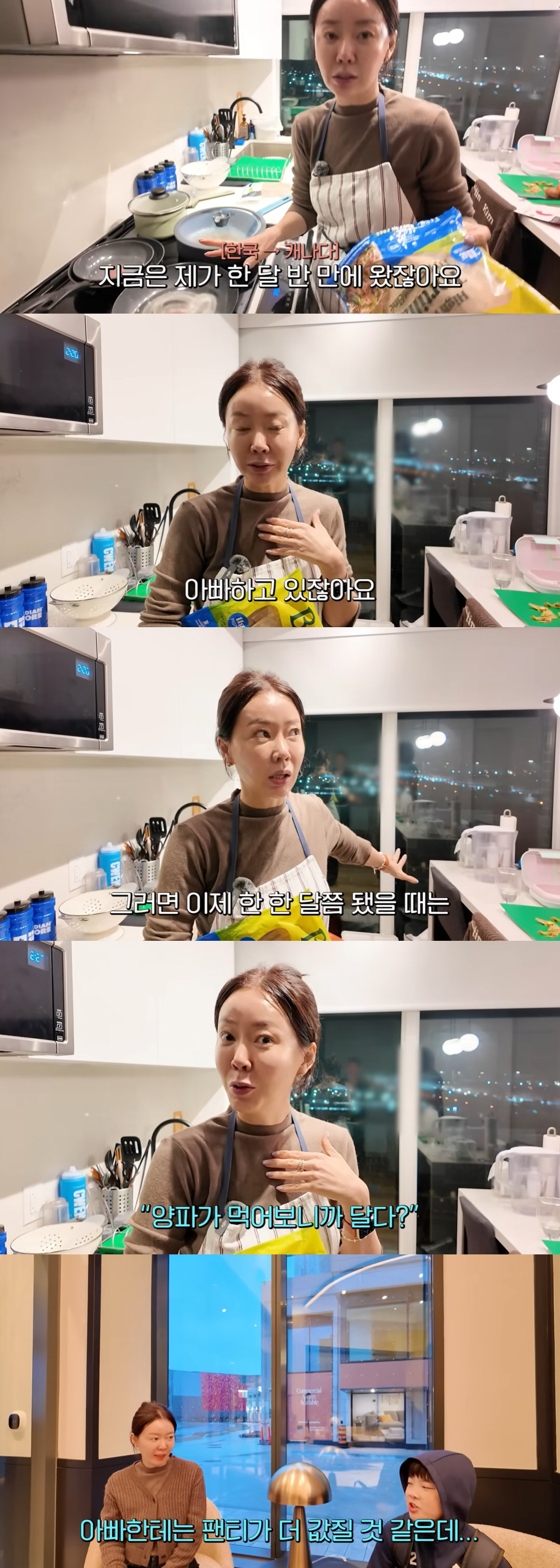 안선영, 별거 중인 남편도 子와 캐나다살이 중 "나 없는 사이 편식 고쳐줘"