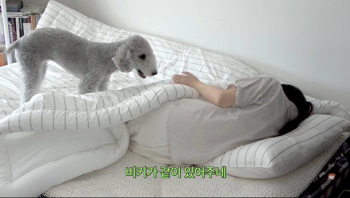 엄지원, 촬영 중 쓰러진 제작진을 반려견 침대로…"게스트룸이다" 해명