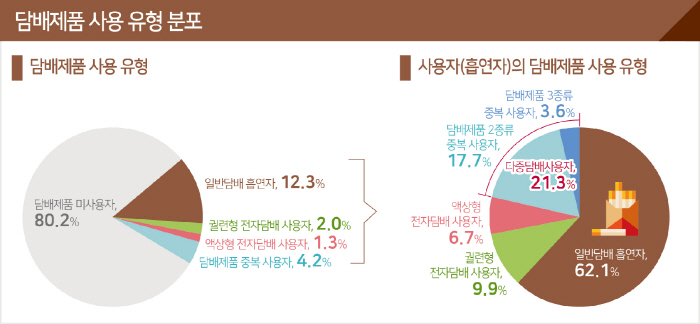 "전자담배 사용 20~30대 젊은층·여성 중심으로 ↑…담배제품 사용자의 21.3%는 다중담배사용자"