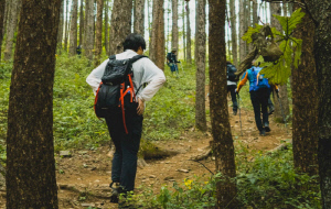 초보 등산객이 챙겨야 할 산행 건강상식…스틱·신발 사용법은?