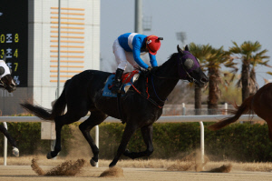 [경마] 렛츠런파크 서울, 제26회 농림축산식품부장관배(G2) 개최