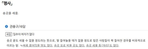 표준국어대사전 캡처