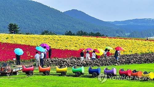 (서귀포=연합뉴스) 박지호 기자 = 2023년 9월 13일 오전 제주 서귀포시 표선면 성읍리 보롬왓을 찾은 관광객들이 맨드라미 등이 활짝 핀 꽃밭에서 가을 정취를 만끽하고 있다. 2023.9.13 jihopark@yna.co.kr